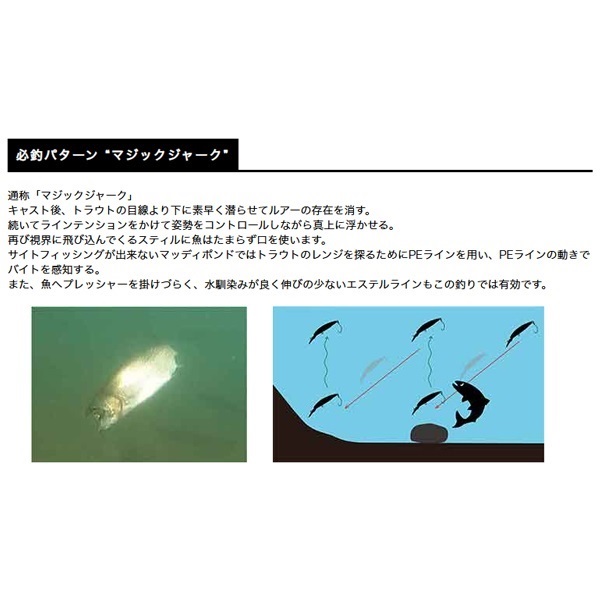 スティル エリアチューン2